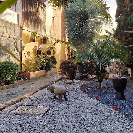 בית נופש Cedofeita Village פורטו